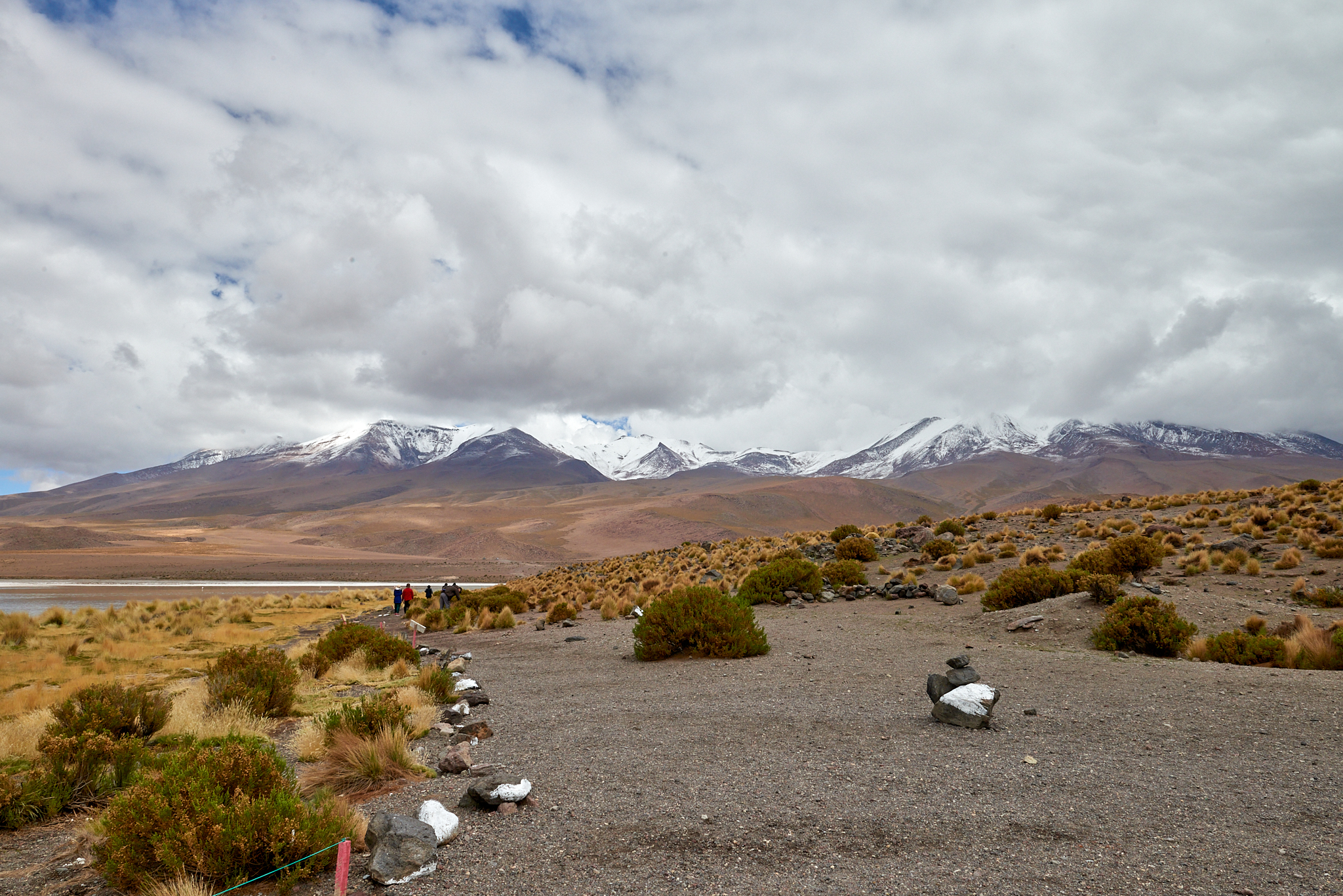 20200313 453 [볼리비아] 카냐파 호수